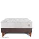 cama europea pocket max chocolate queen