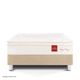 cama royal prince flexible champagne king