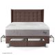 Dormitorio con Cajones Royal Balanzze Gold Chocolate | Queen