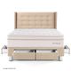 Dormitorio con Cajones Royal Dynasty Gold Champagne | 2 plazas