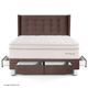 Dormitorio con Cajones Royal Dynasty Gold Chocolate | 2 plazas