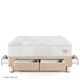 Cama con Cajones Pocket Max Champagne | Queen