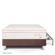 Cama con Cajones Royal Prince Firme Chocolate | 1.5 plazas