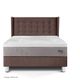 Dormitorio Royal Balanzze Gold Chocolate Queen