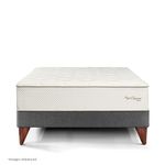 Cama Europea Royal Crown Gris | 1.5 plazas