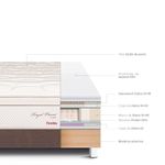 Cama Royal Prince Flexible Chocolate Queen